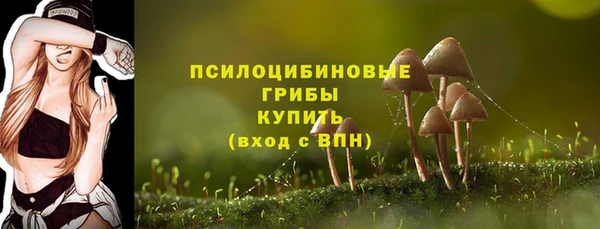 ПСИЛОЦИБИНОВЫЕ ГРИБЫ Михайловск