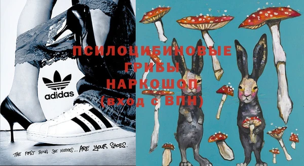 ПСИЛОЦИБИНОВЫЕ ГРИБЫ Михайловск
