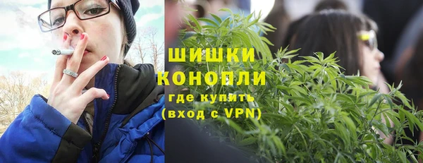 ПСИЛОЦИБИНОВЫЕ ГРИБЫ Михайловск