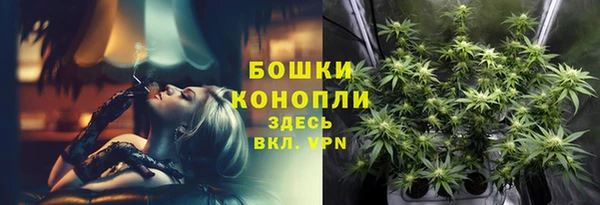 ПСИЛОЦИБИНОВЫЕ ГРИБЫ Михайловск