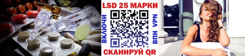 Купить закладки  Камешково  Лсд 25 экстази кислота 