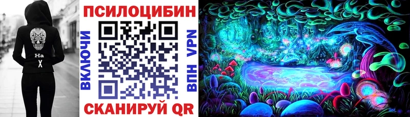 Купить закладки  Камешково  Псилоцибиновые грибы ЛСД 